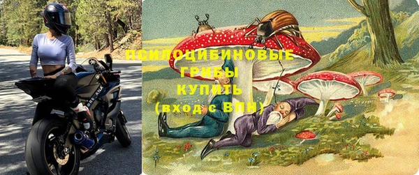 молекула духа Киреевск