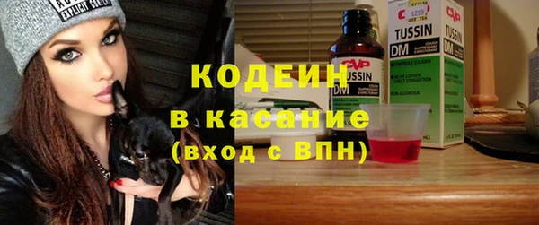 молекула духа Киреевск