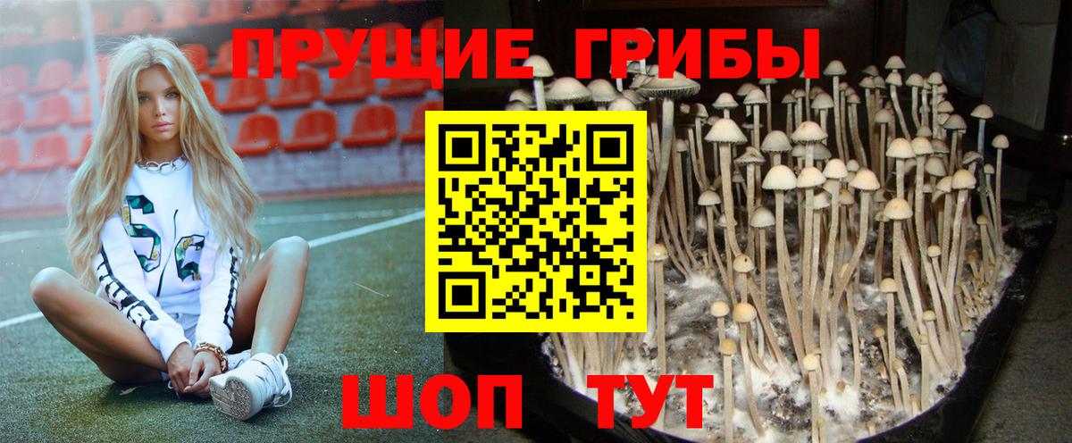 Псилоцибиновые грибы мицелий Уфа