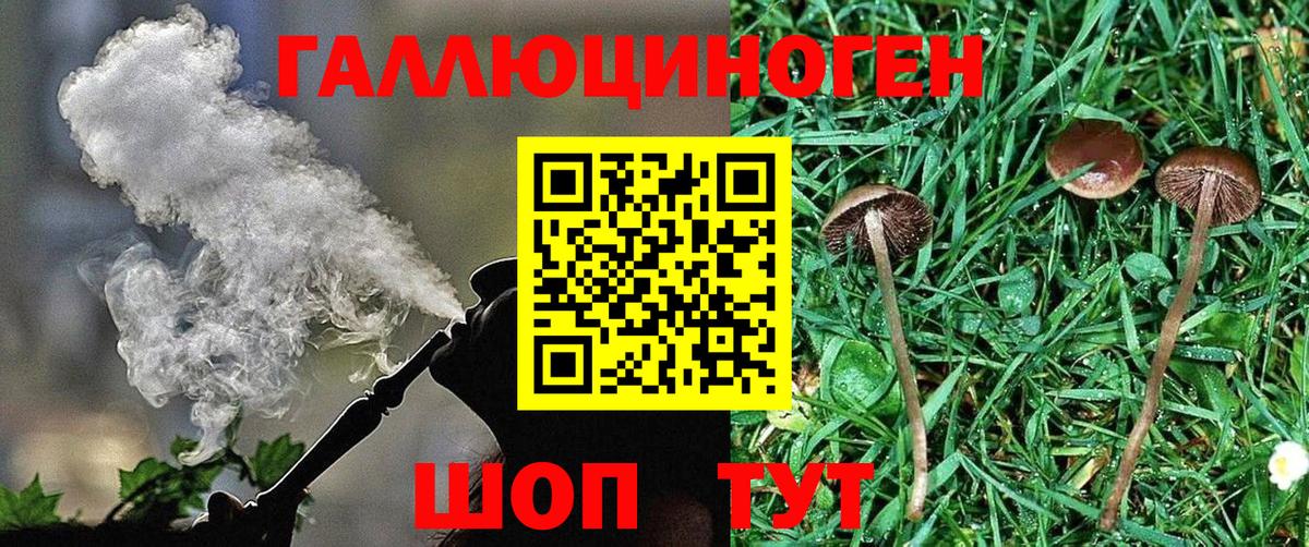 Уфа  Галлюциногенные грибы Psilocybine cubensis  Вход с VPN 